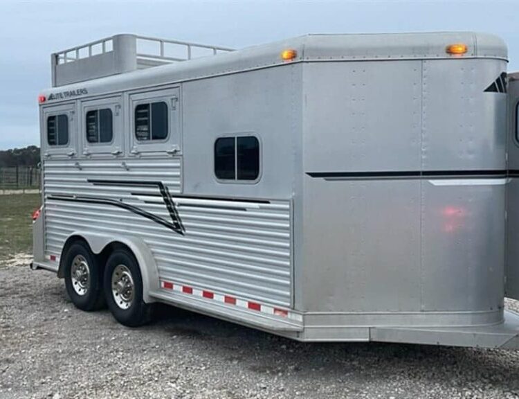 1999 Elite Custom 3 Horse Trailer